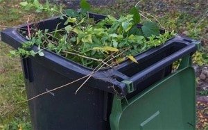 Garden rubbish clearance SE11 Kennington - Clear it waste