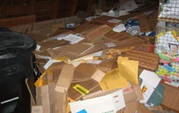 paper-cardboard